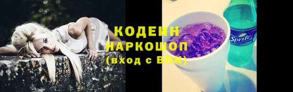 сатива Кулебаки