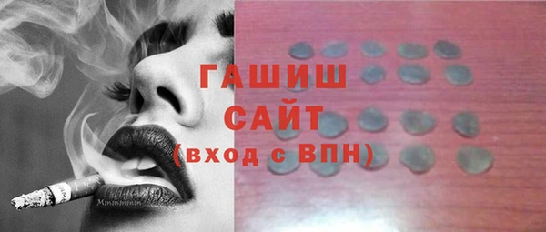 сатива Кулебаки