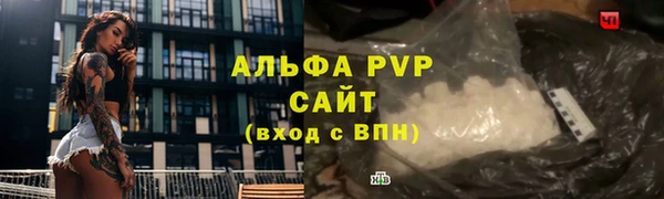 сатива Кулебаки