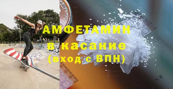 сатива Кулебаки