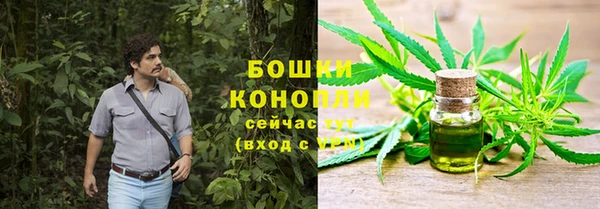сатива Кулебаки