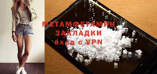 сатива Кулебаки