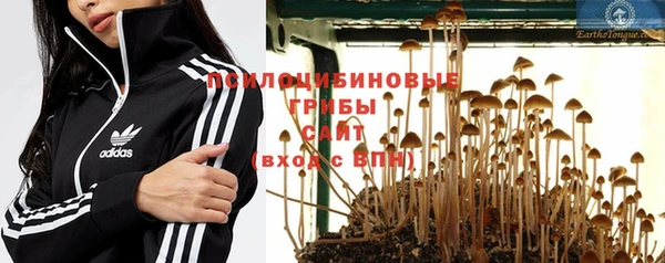 стафф Кукмор