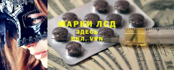 сатива Кулебаки