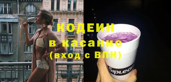 сатива Кулебаки