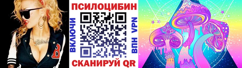 наркота  это какой сайт  Псилоцибиновые грибы мицелий  Кудрово 
