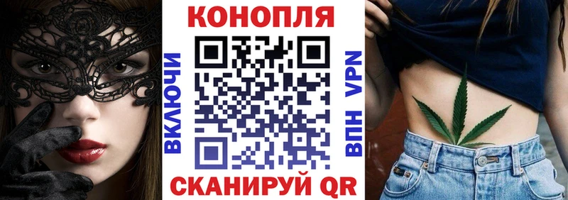 где продают   Кудрово  Конопля индика 